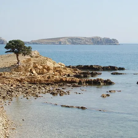 Calypso Lipsi